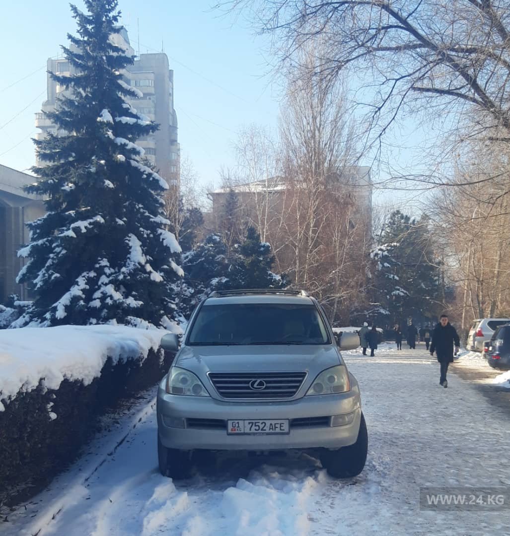Чудаки парковки
