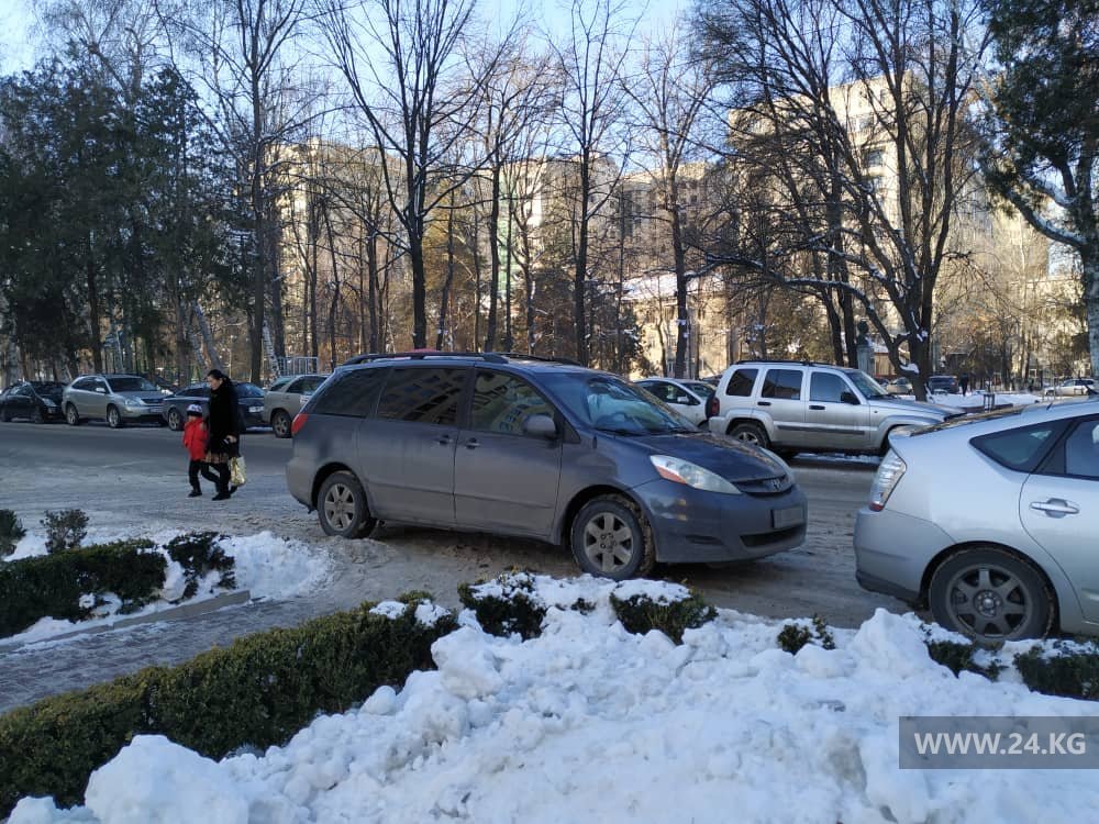 Чудаки парковки