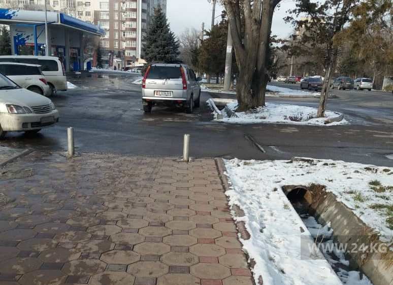 Чудаки парковки