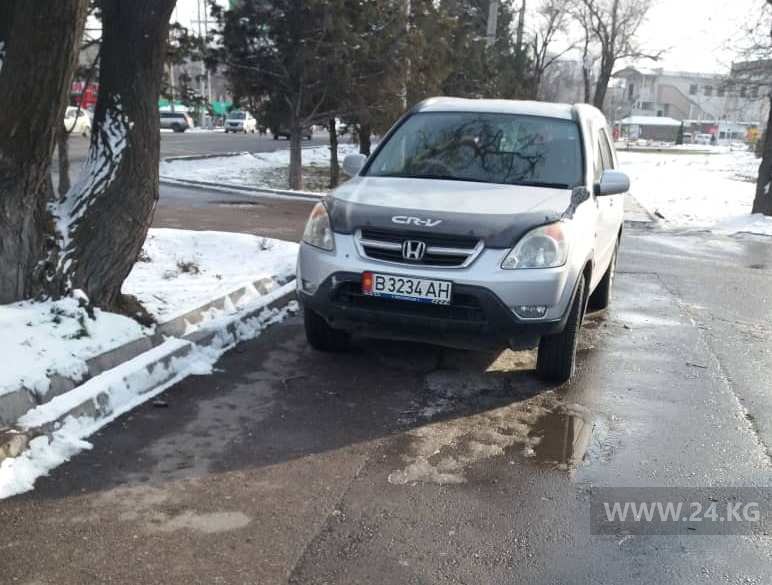 Чудаки парковки