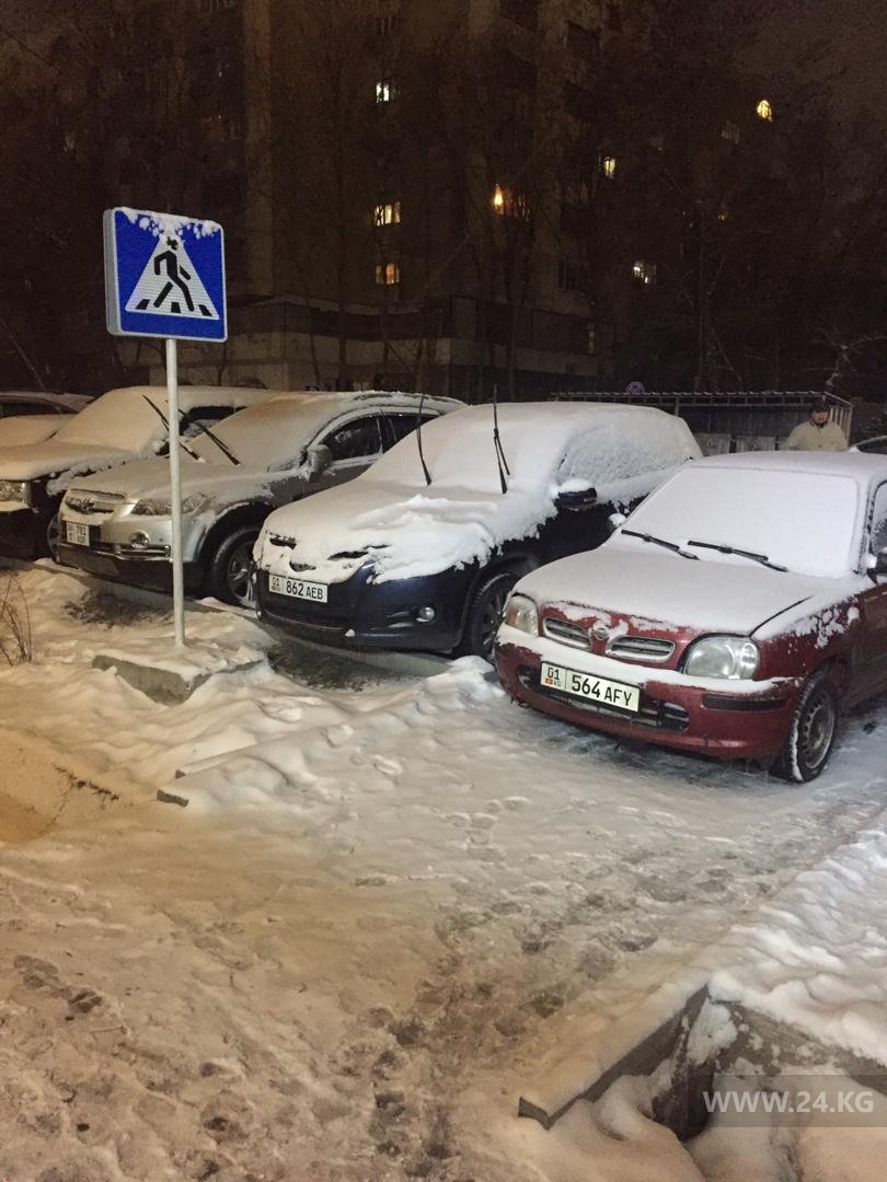 Чудаки парковки