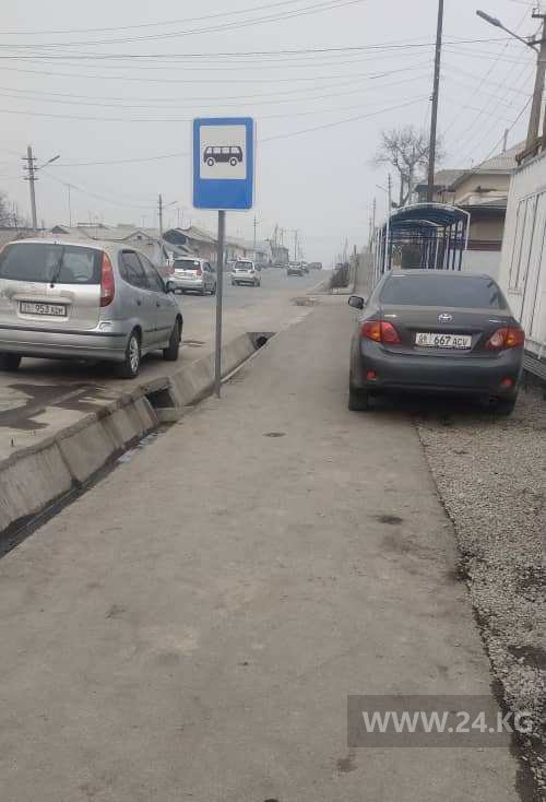 Чудаки парковки