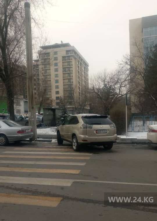 Чудаки парковки