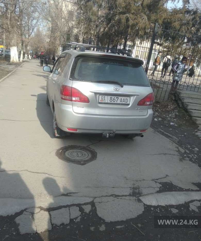 Чудаки парковки