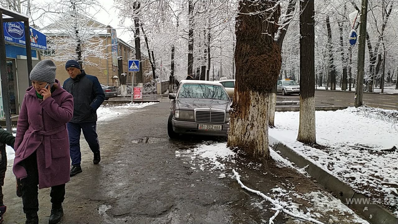 Чудаки парковки