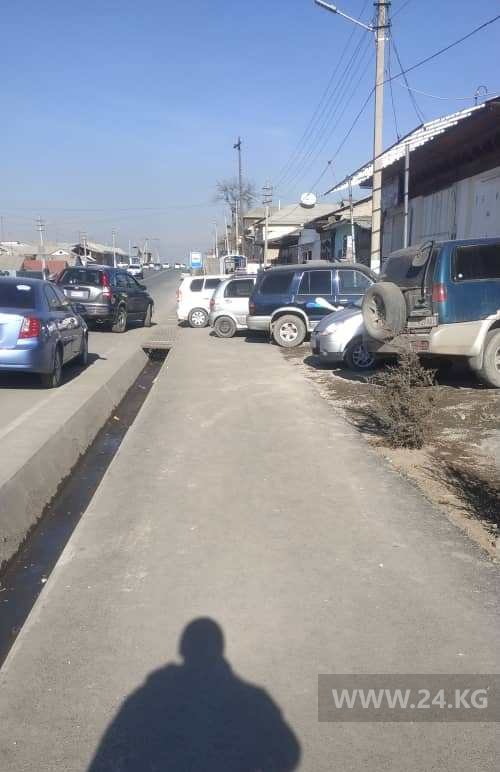 Чудаки парковки