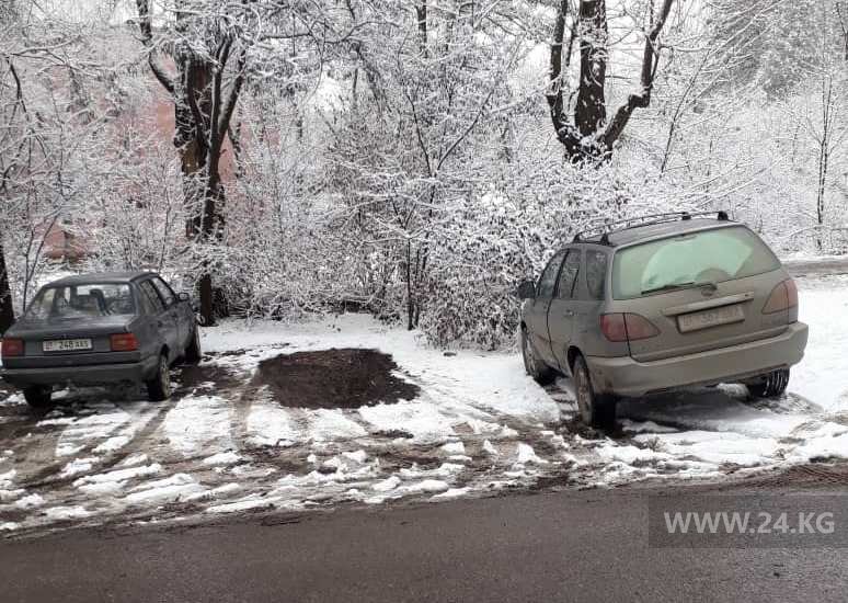 Чудаки парковки