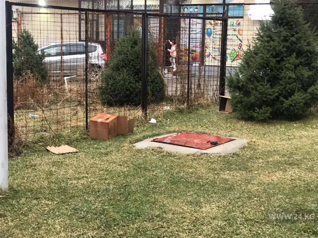 Мусор возле гипермаркета «Фрунзе»