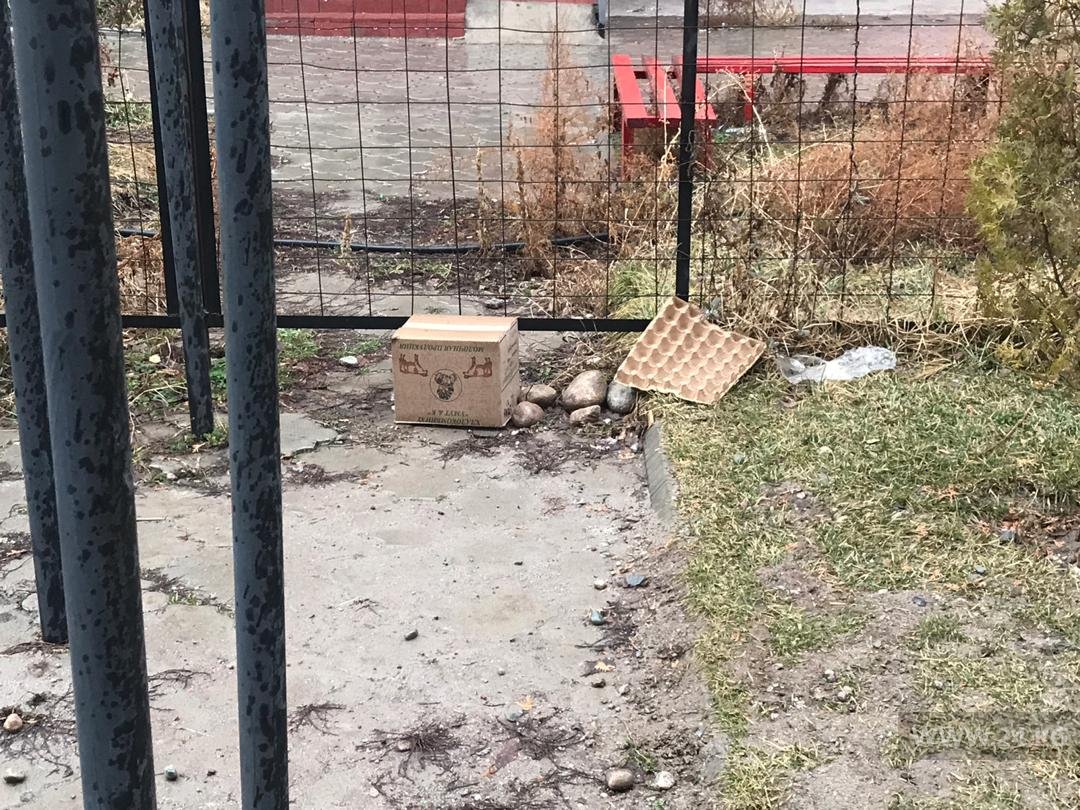 Мусор возле гипермаркета «Фрунзе»
