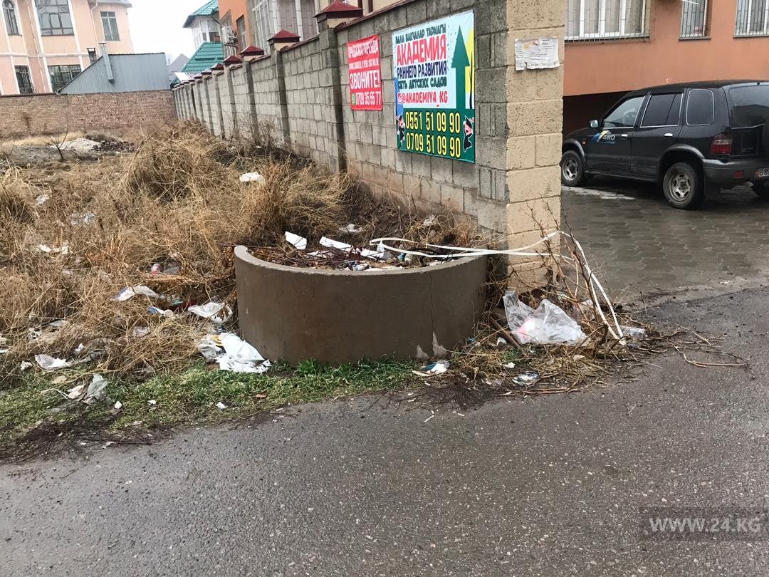 Мусор возле гипермаркета «Фрунзе»