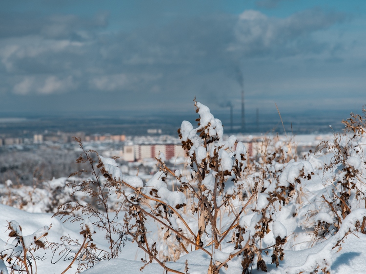 Зимний Бишкек и «Панорама»