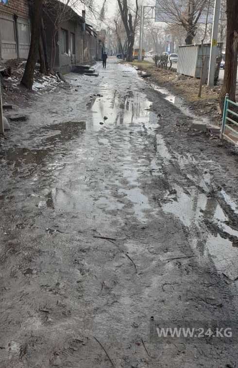 Тротуар на улице Толстого