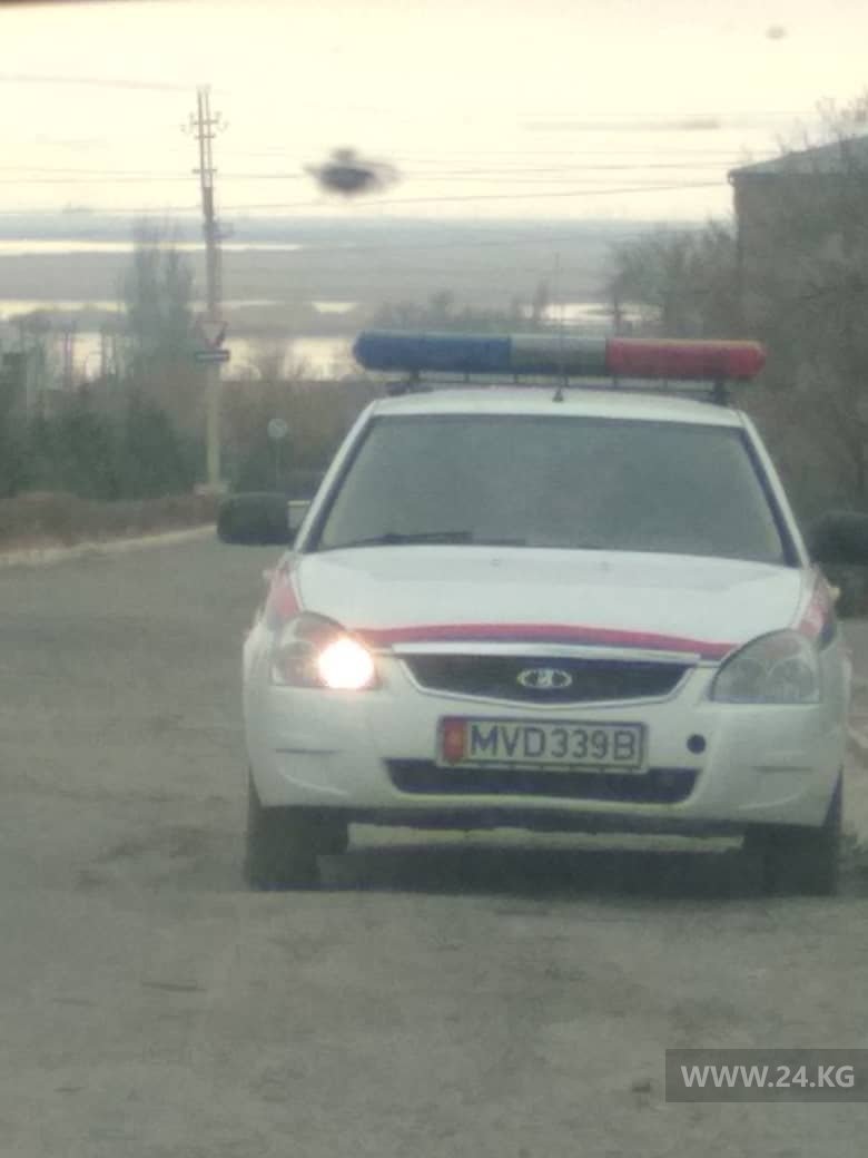 Чудаки парковки