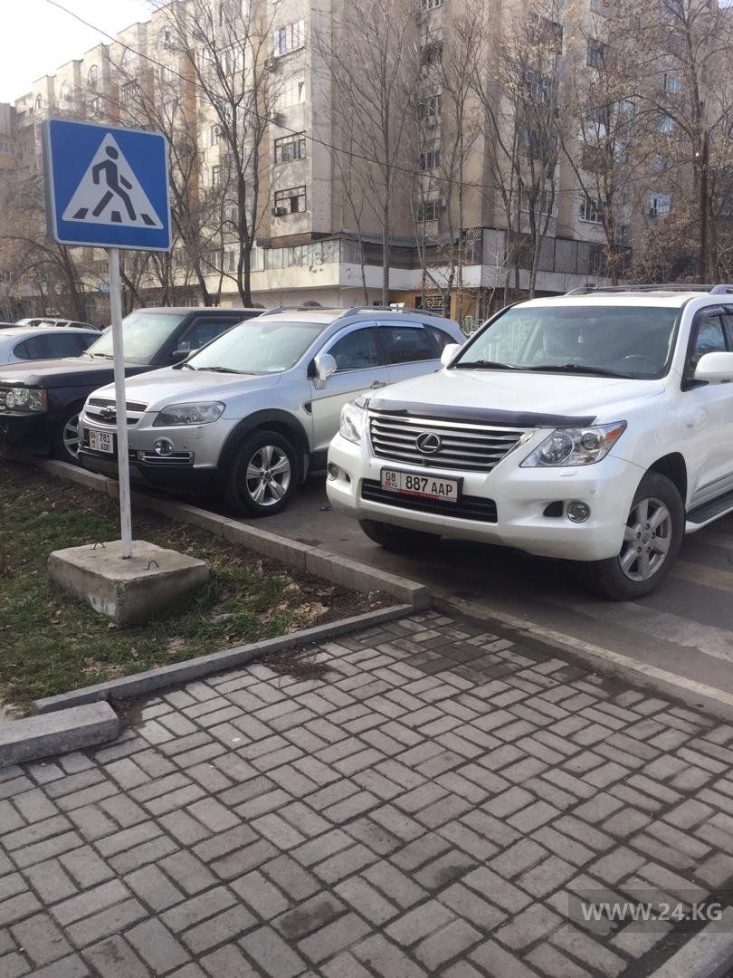 Чудаки парковки