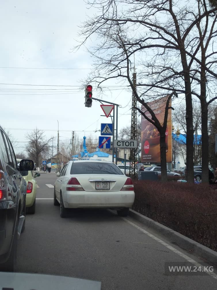 Чудаки парковки