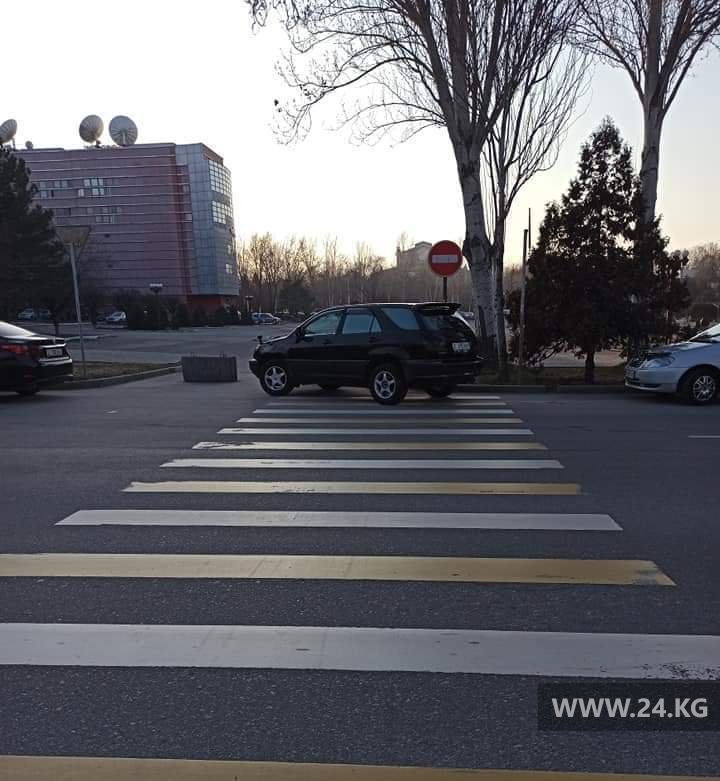 Чудаки парковки
