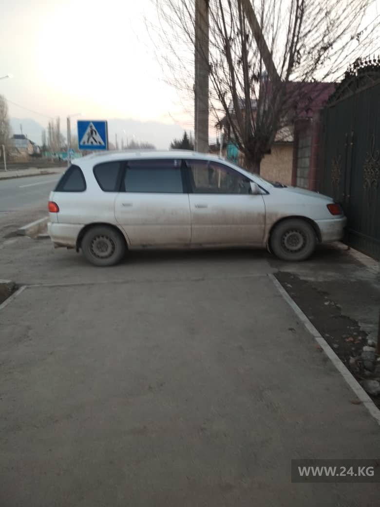 Чудаки парковки