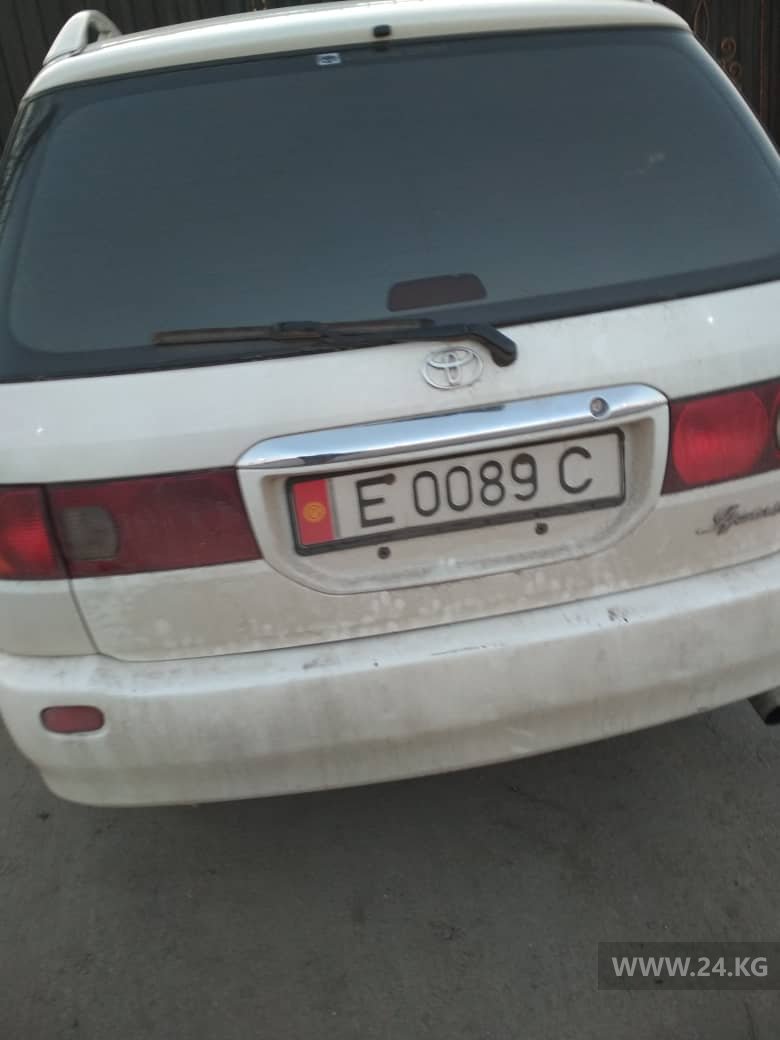 Чудаки парковки