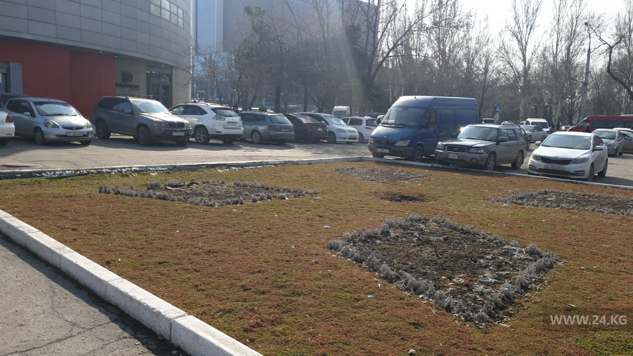 Чудаки парковки
