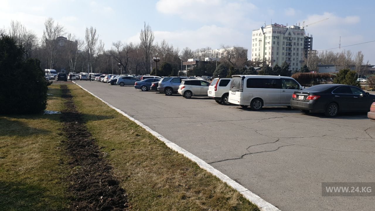 Чудаки парковки