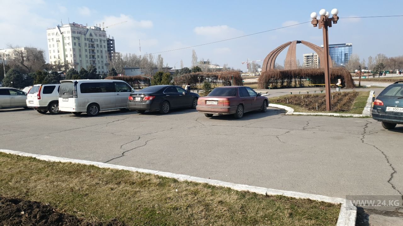 Чудаки парковки
