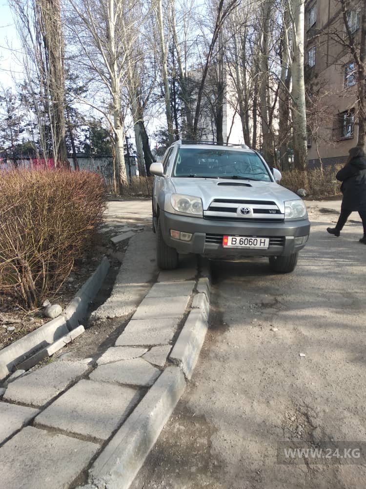Чудаки парковки