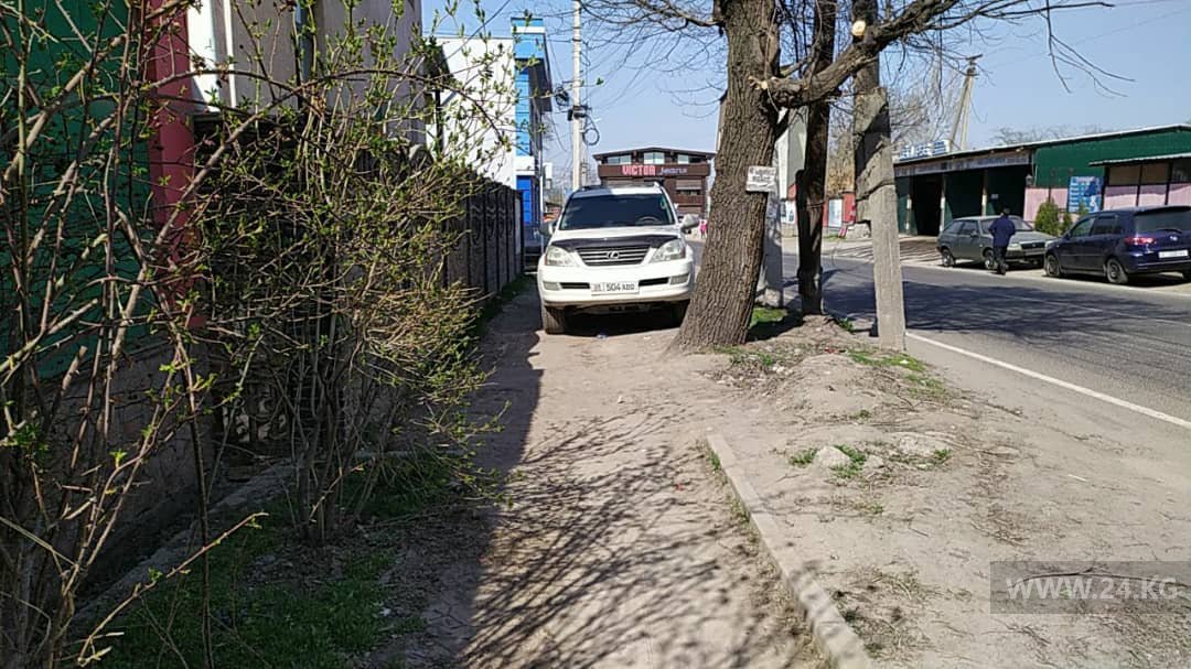 Чудаки парковки