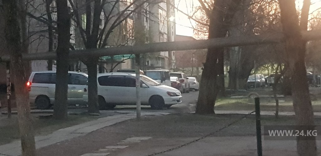 Чудаки парковки