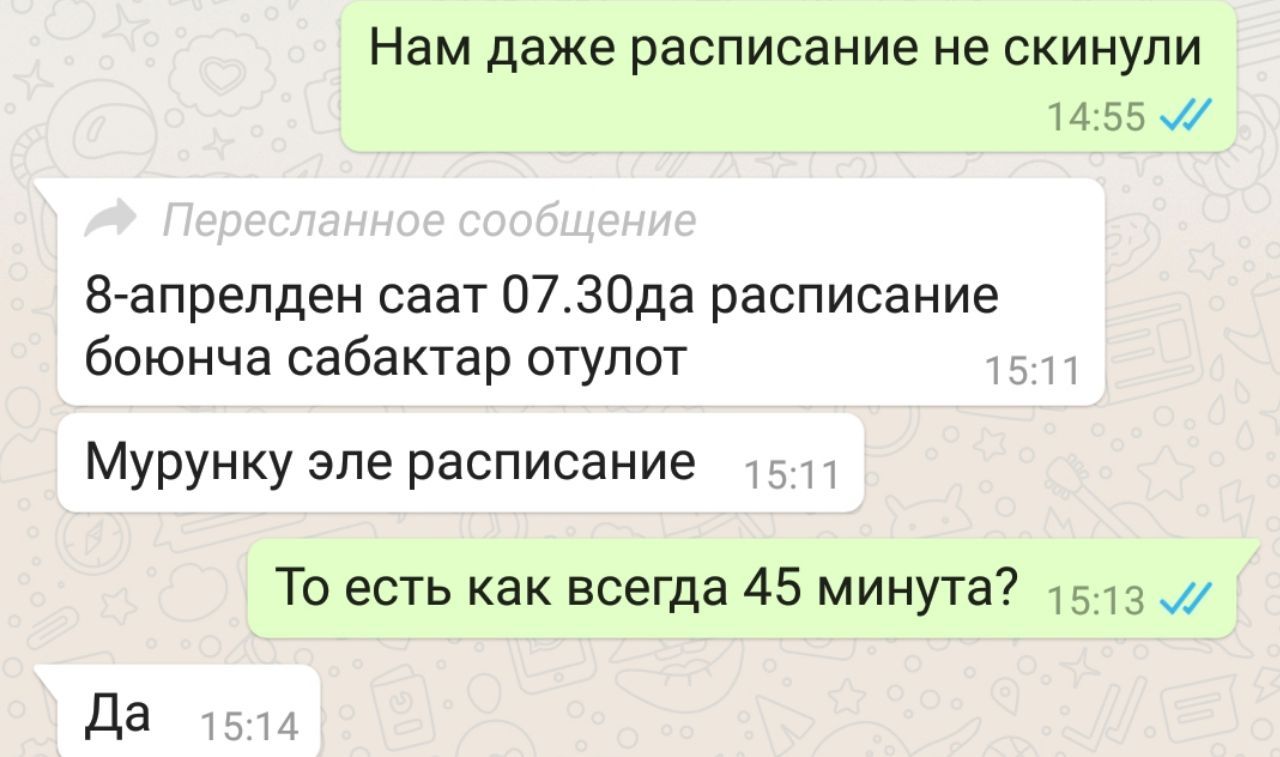 В школе № 69 имени Токтогула Сатылганова онлайн-уроки длятся по 45 минут