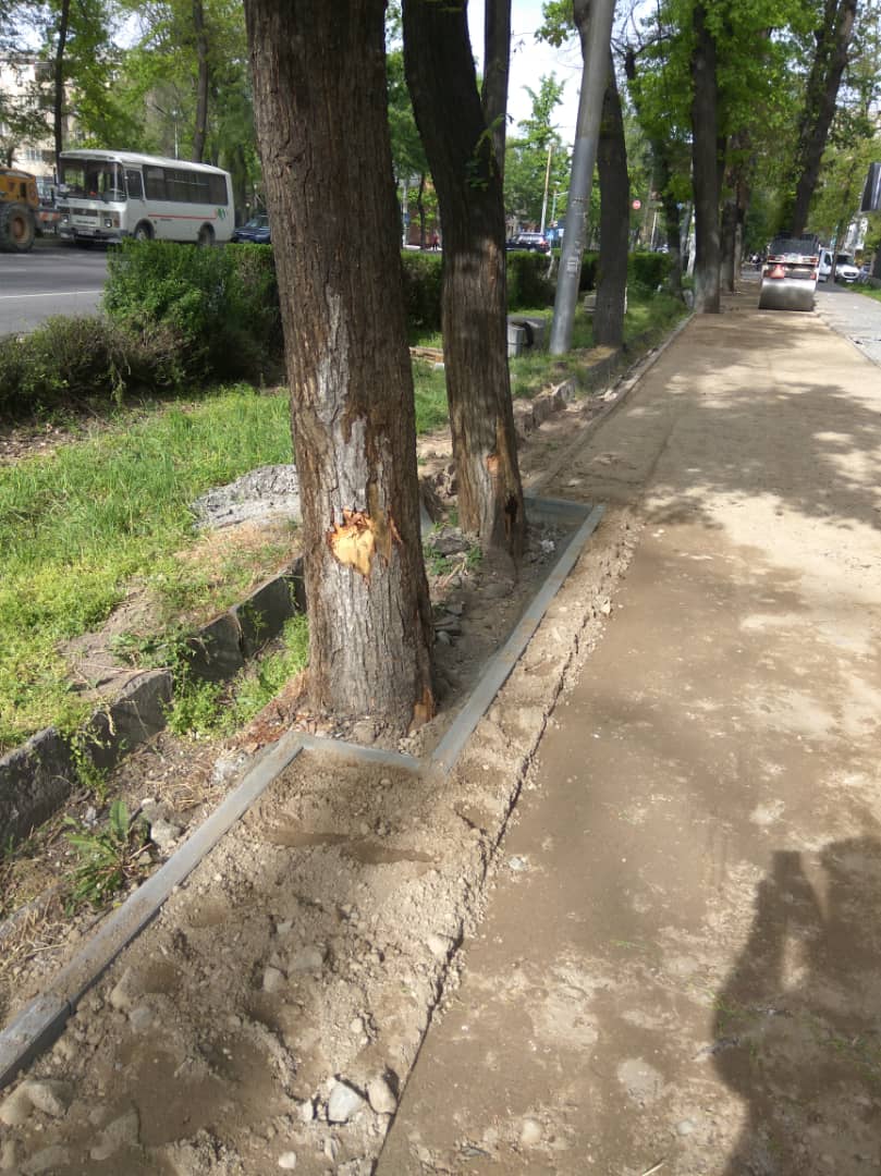 Тротуар на улице Московской
