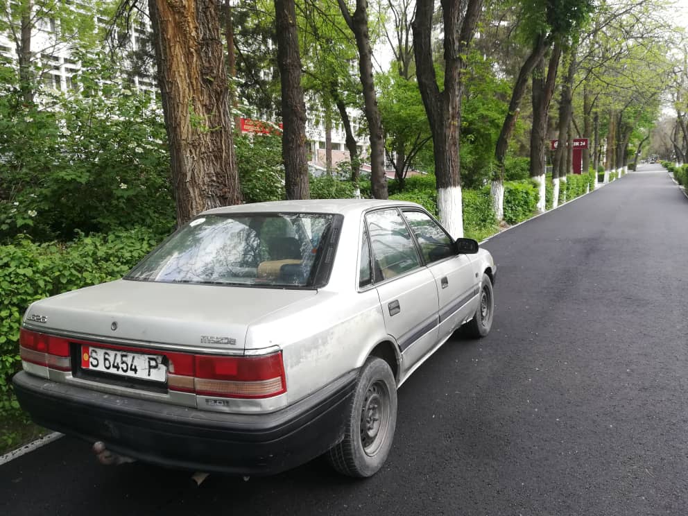 Чудаки парковки