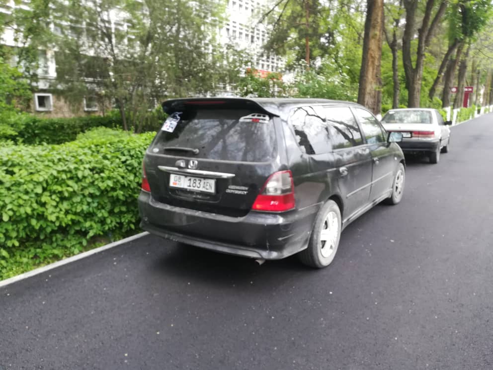 Чудаки парковки