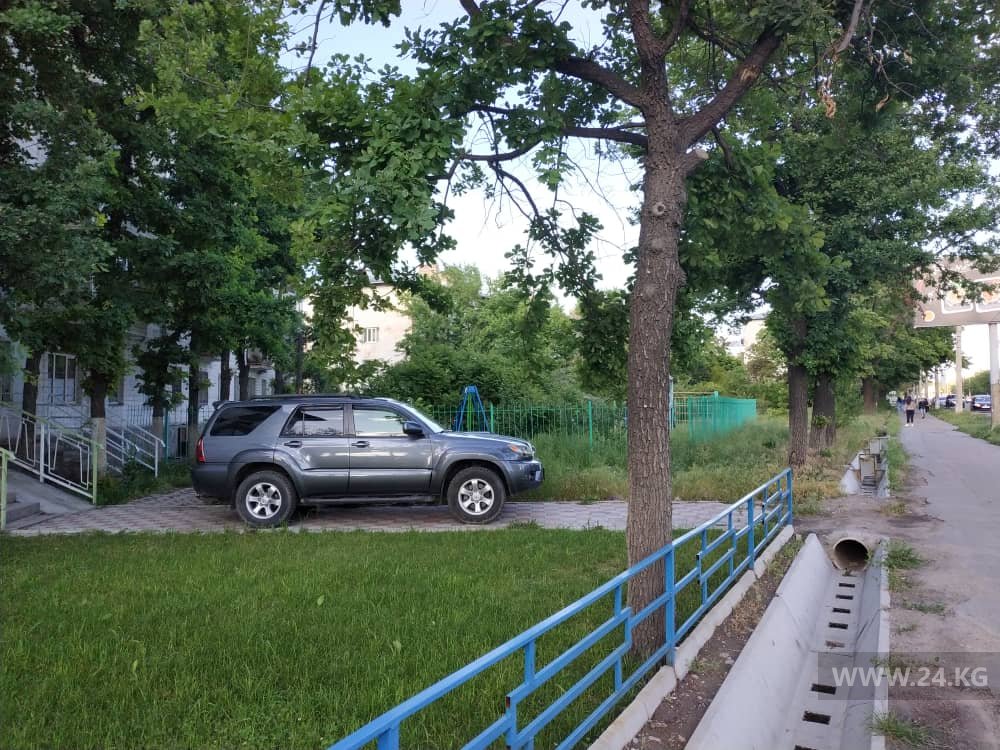 Чудаки парковки