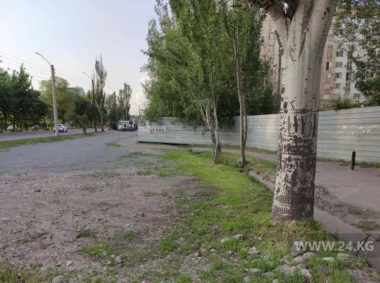 Улица Ибраимова в Бишкеке