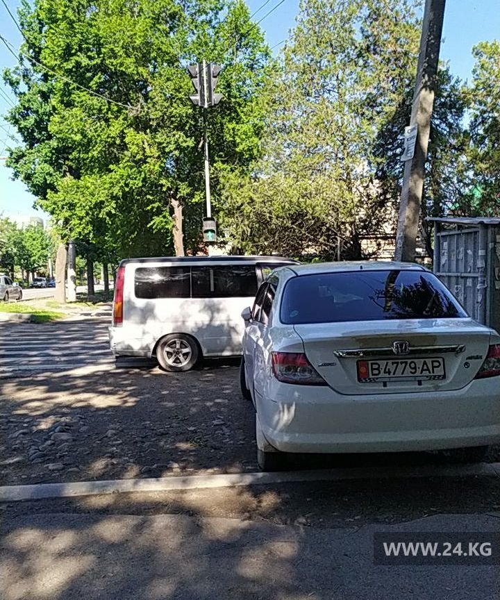 Чудаки парковки