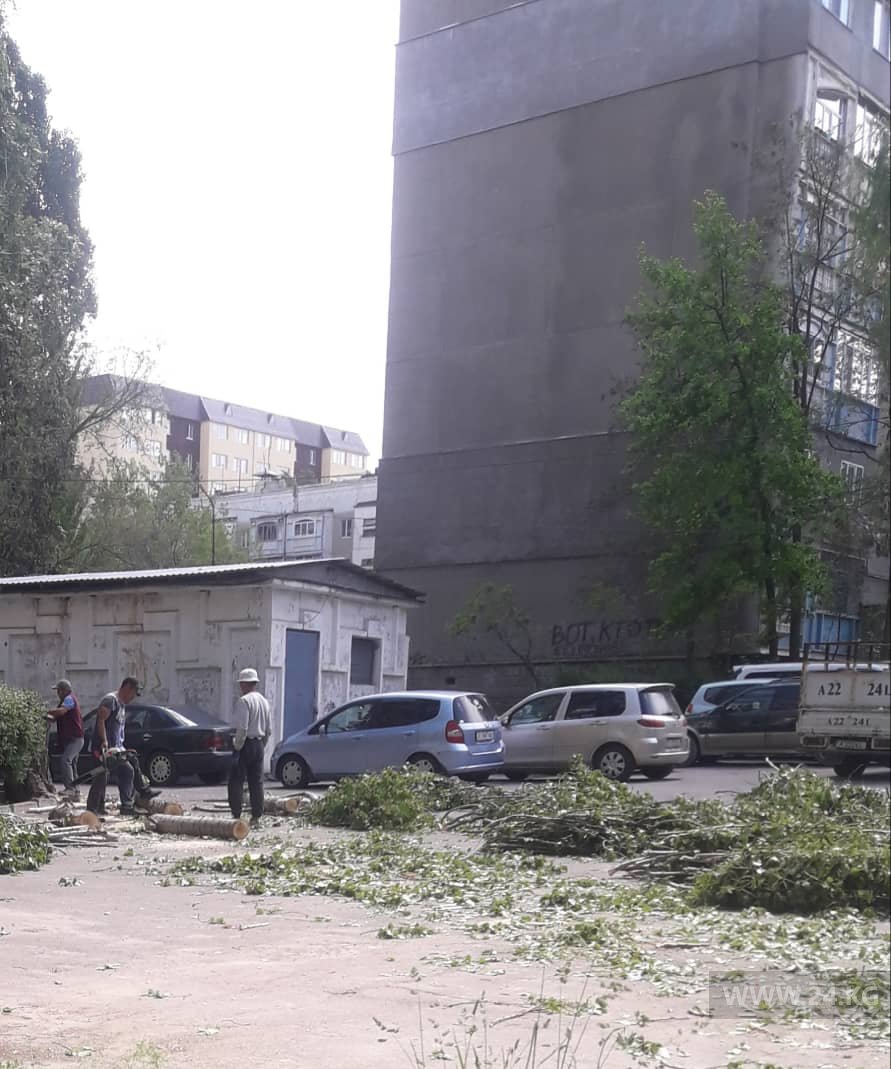 Вырубка деревьев в 12-м микрорайоне
