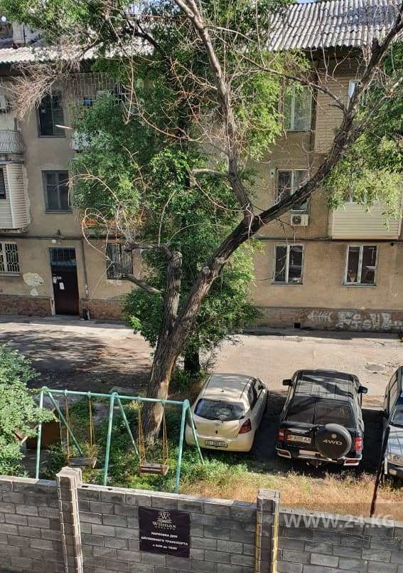 Аварийное дерево