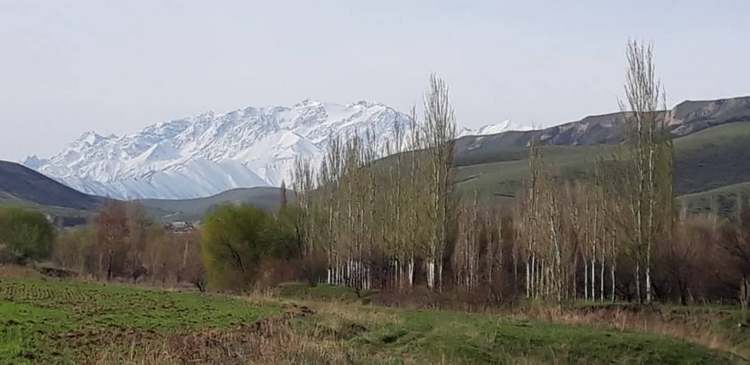 В пригороде Бишкека, апрель
