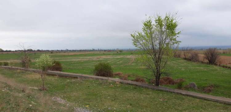 В пригороде Бишкека, апрель