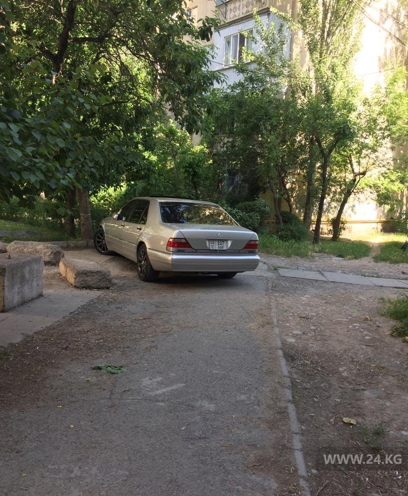 Чудаки парковки