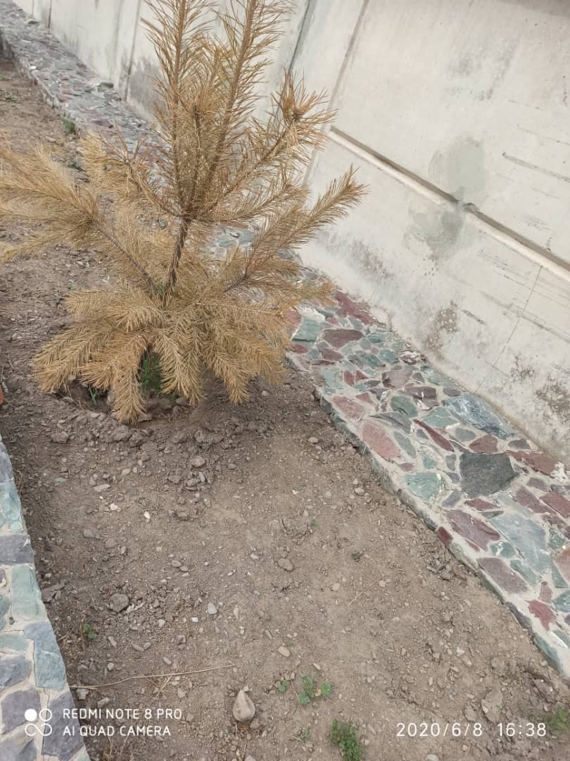 В городе Кара-Балте нет воды