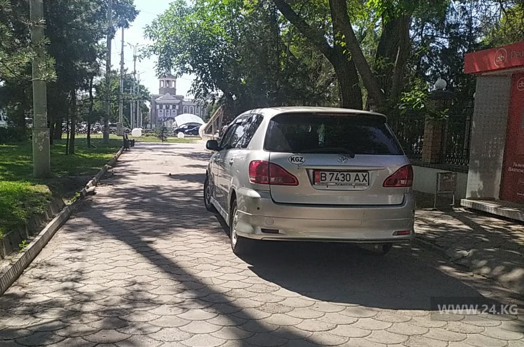 Чудаки парковки