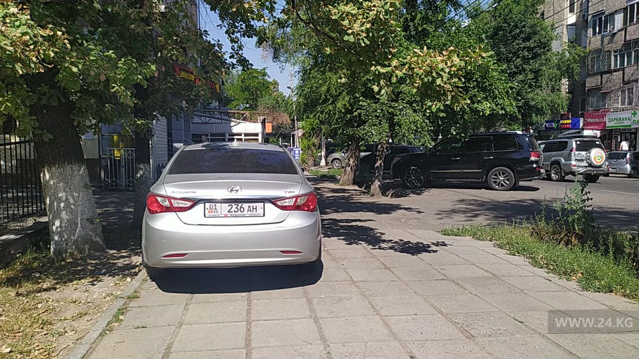 Чудаки парковки