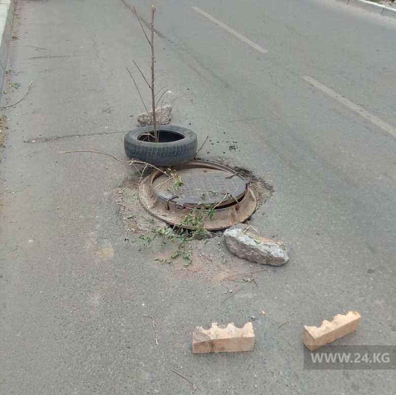Улица Кайназаровой