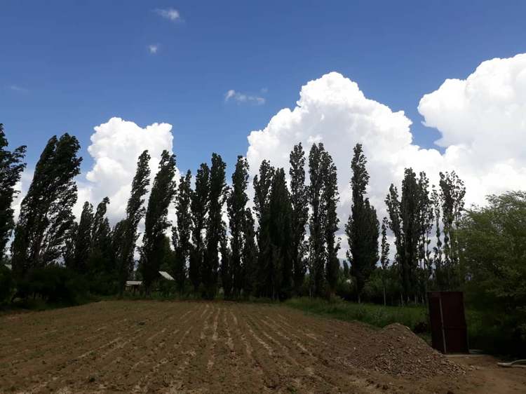 Село Кызыл-Октябрь, Бакай-Атинский район, июнь 2020 года