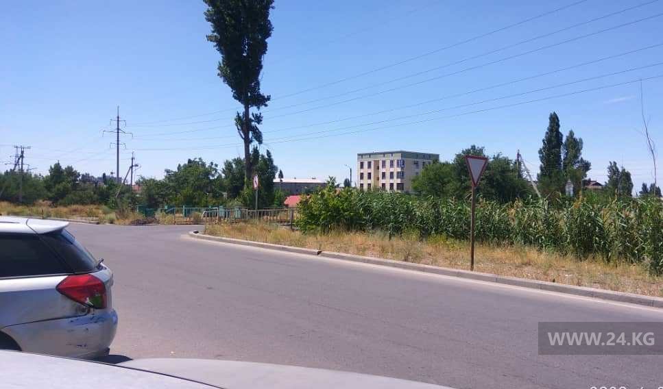 Камыши мешают обзору