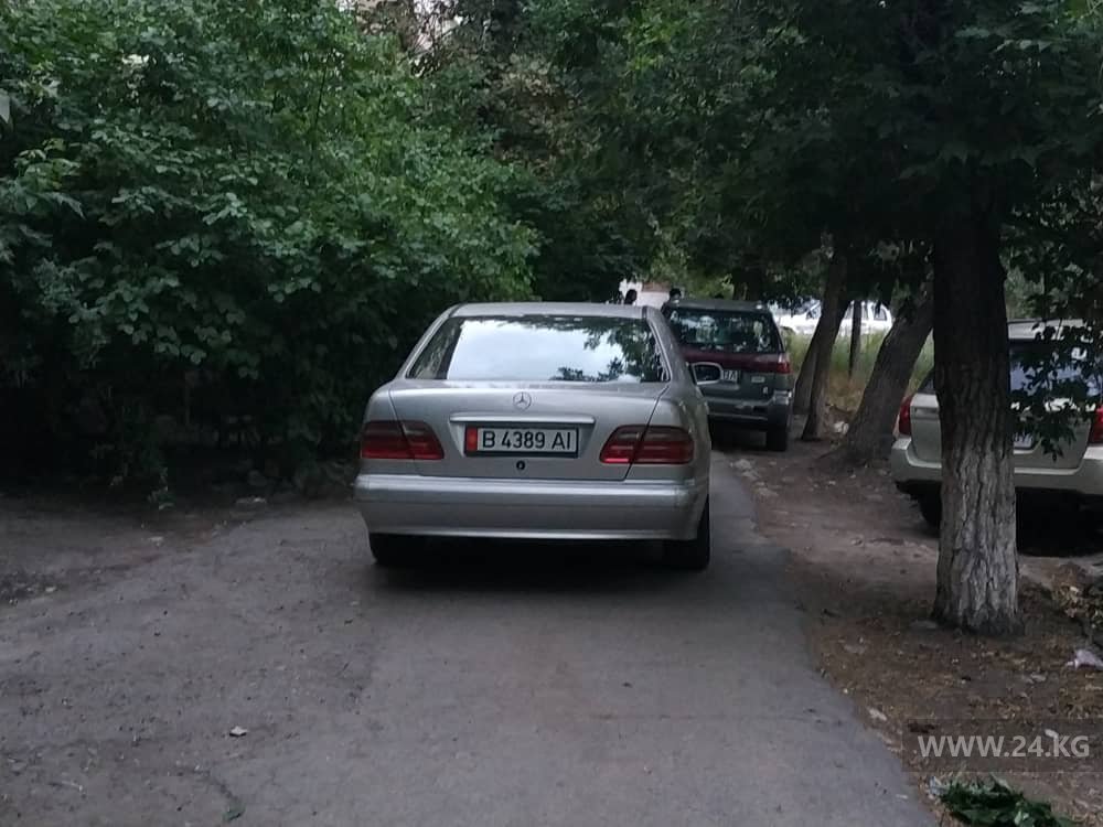 Чудаки парковки