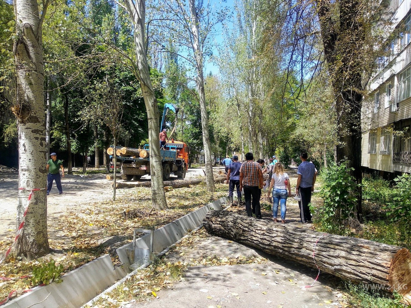 На улице Усенбаева вырубают деревья