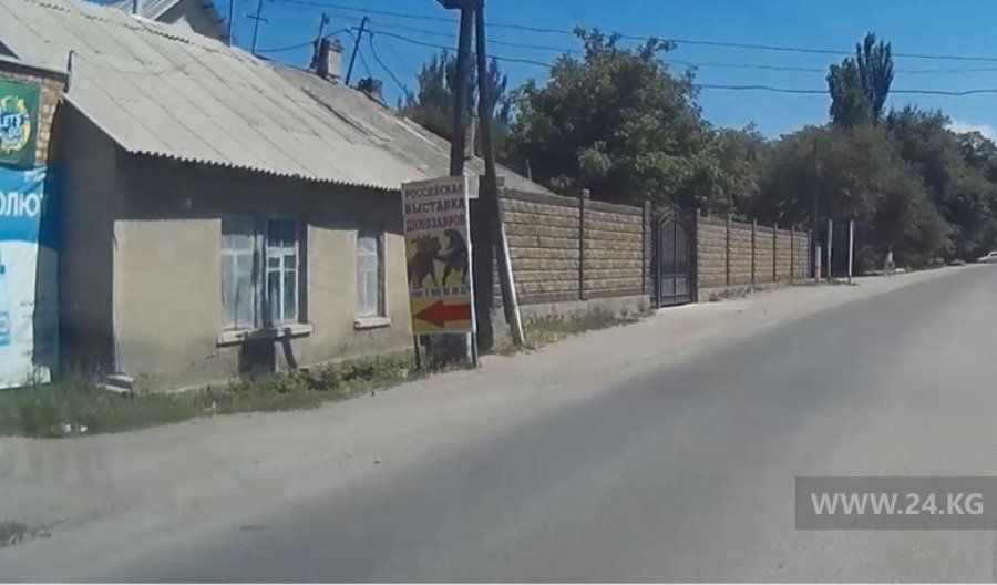 Вывеска в селе Сокулук