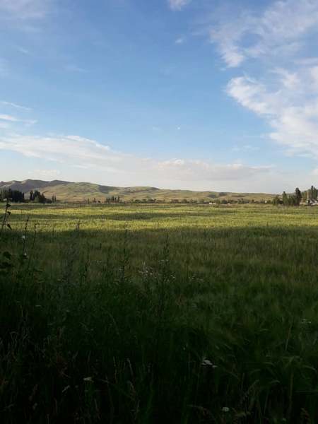 Село Арашан